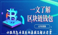 小狐钱包币消失的原因及