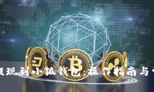 如何将资金提现到小狐钱包：操作指南与常见问题解析