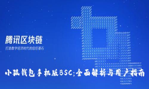 小狐钱包手机版BSC：全面解析与用户指南